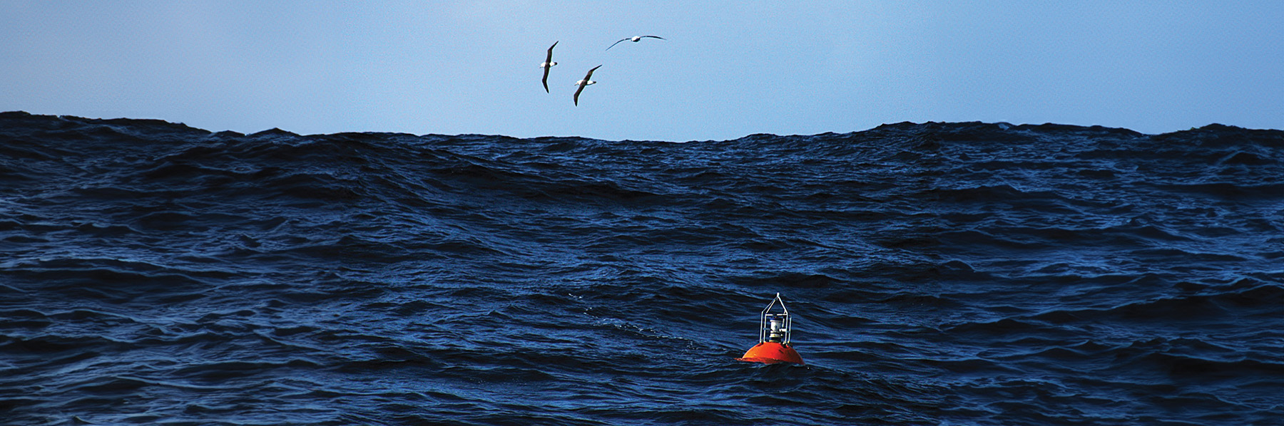 Teledyne RD Instruments Measure Ocean Waves from a Subsurface Mooring in Deep Water
