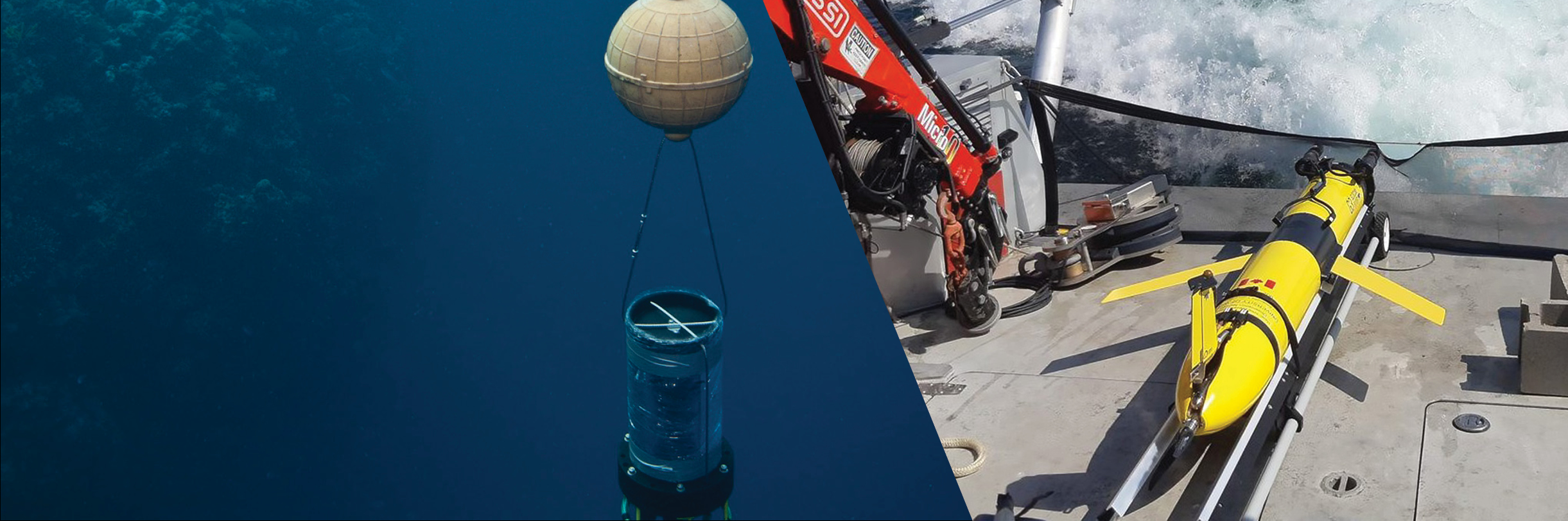 Teledyne and Innovasea Collaborate to Provide Cost-Effective Fish-Tracking Solution
