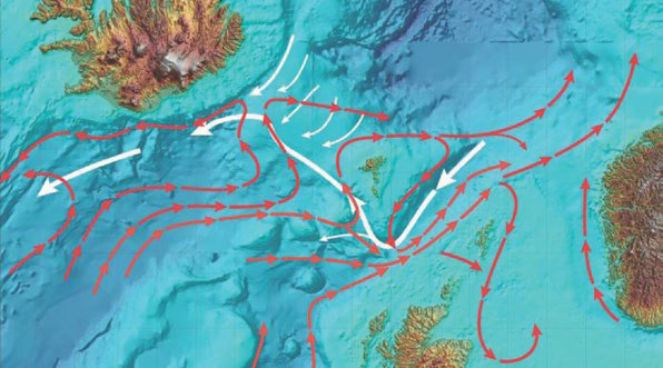 uoyant plume of subglacial meltwater and its associated fjord-scale circulation. Credit: E. Pettit (University of Alaska) https: