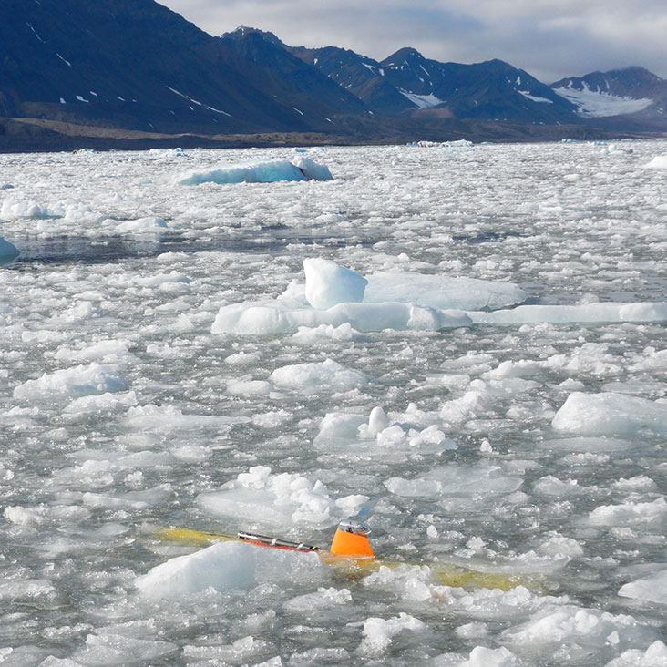 Gavia AUV Ice
